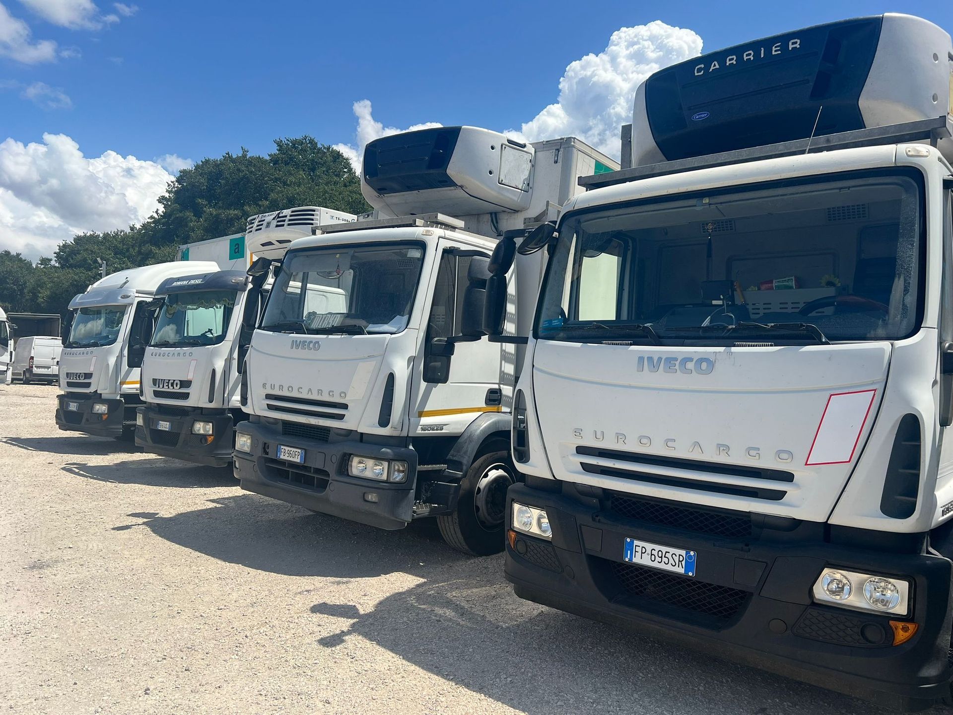 Quattro camion frigoriferi Iveco Eurocargo bianchi parcheggiati all'aperto sotto un cielo azzurro.