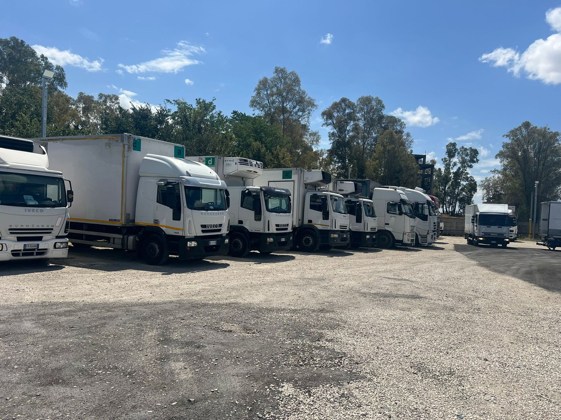 Camion refrigerati bianchi parcheggiati in un piazzale ghiaioso in una giornata di sole; alberi sullo sfondo.