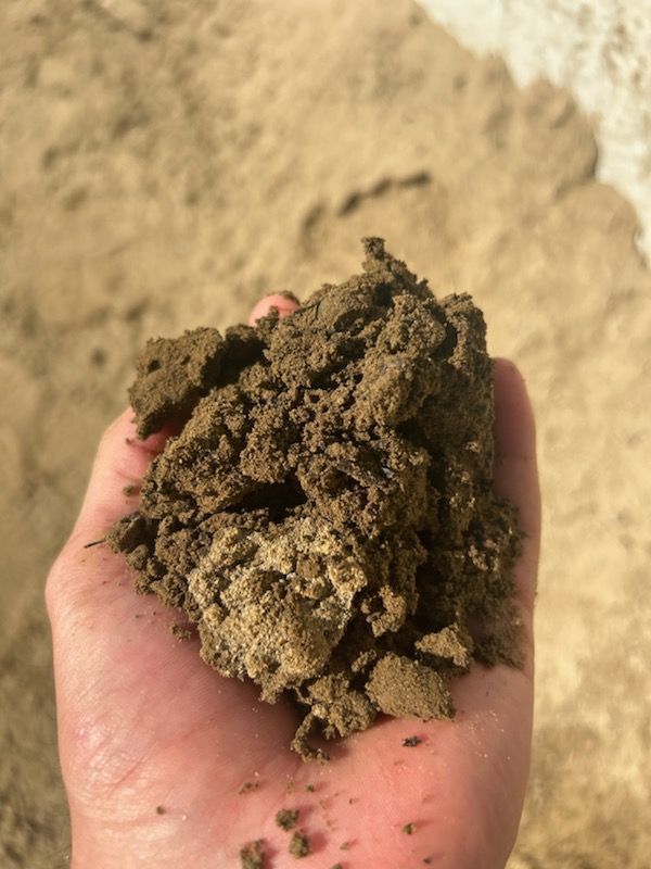 Hand holding a clump of dark brown soil with lighter colored patches, outdoors.
