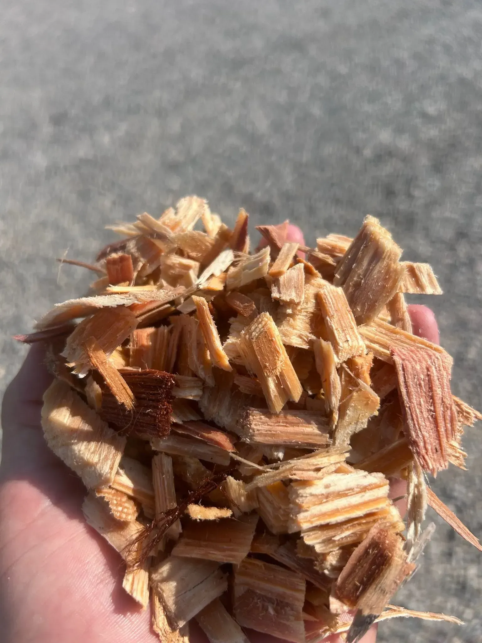 Redwood Chips