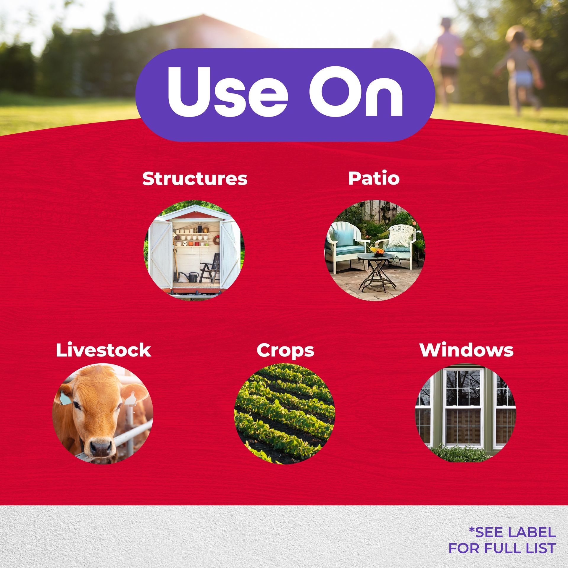 Red bag of Diatomaceous Earth crawling insect killer with white text, showing the product's controls and ingredients.