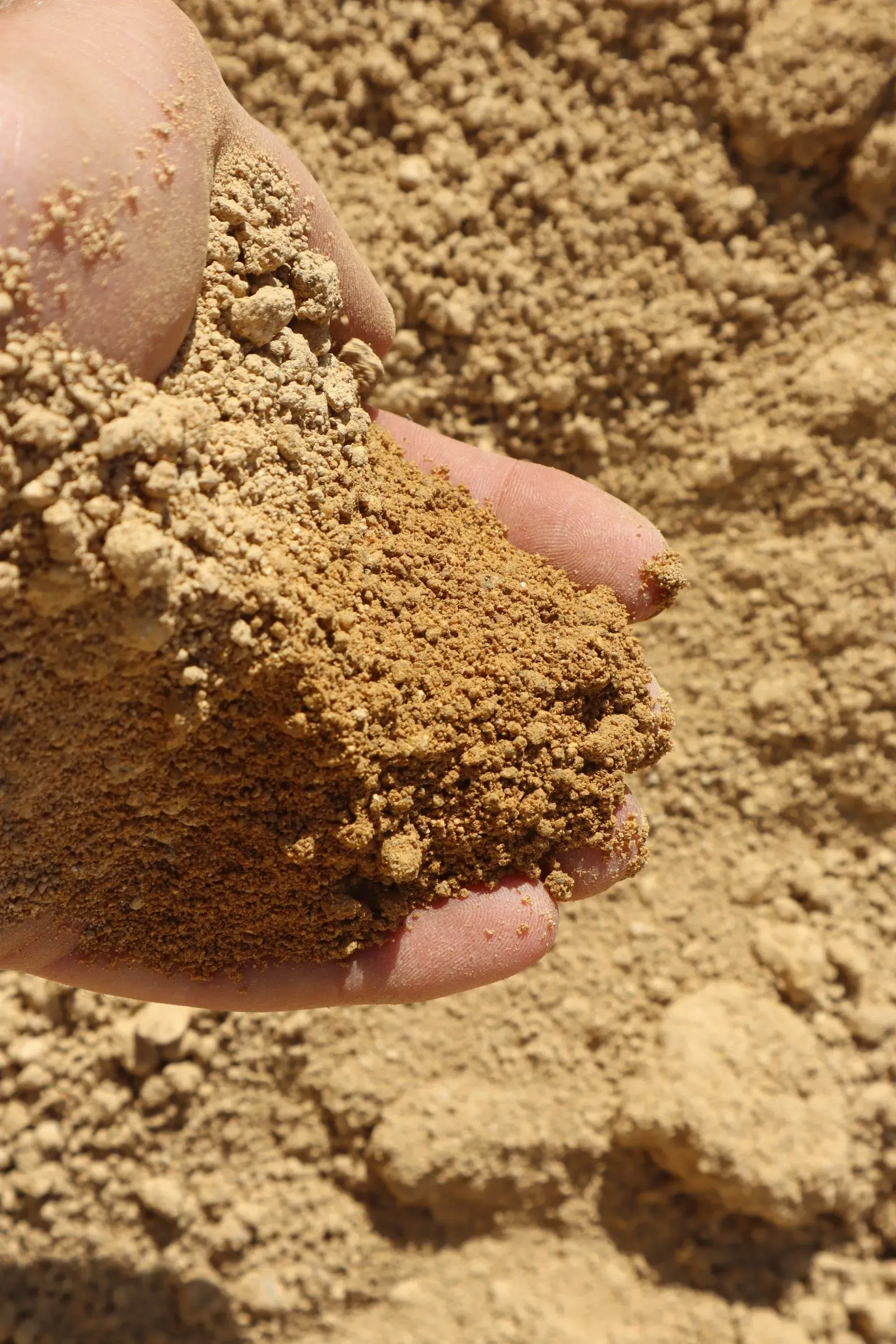 Tan Decomposed Granite