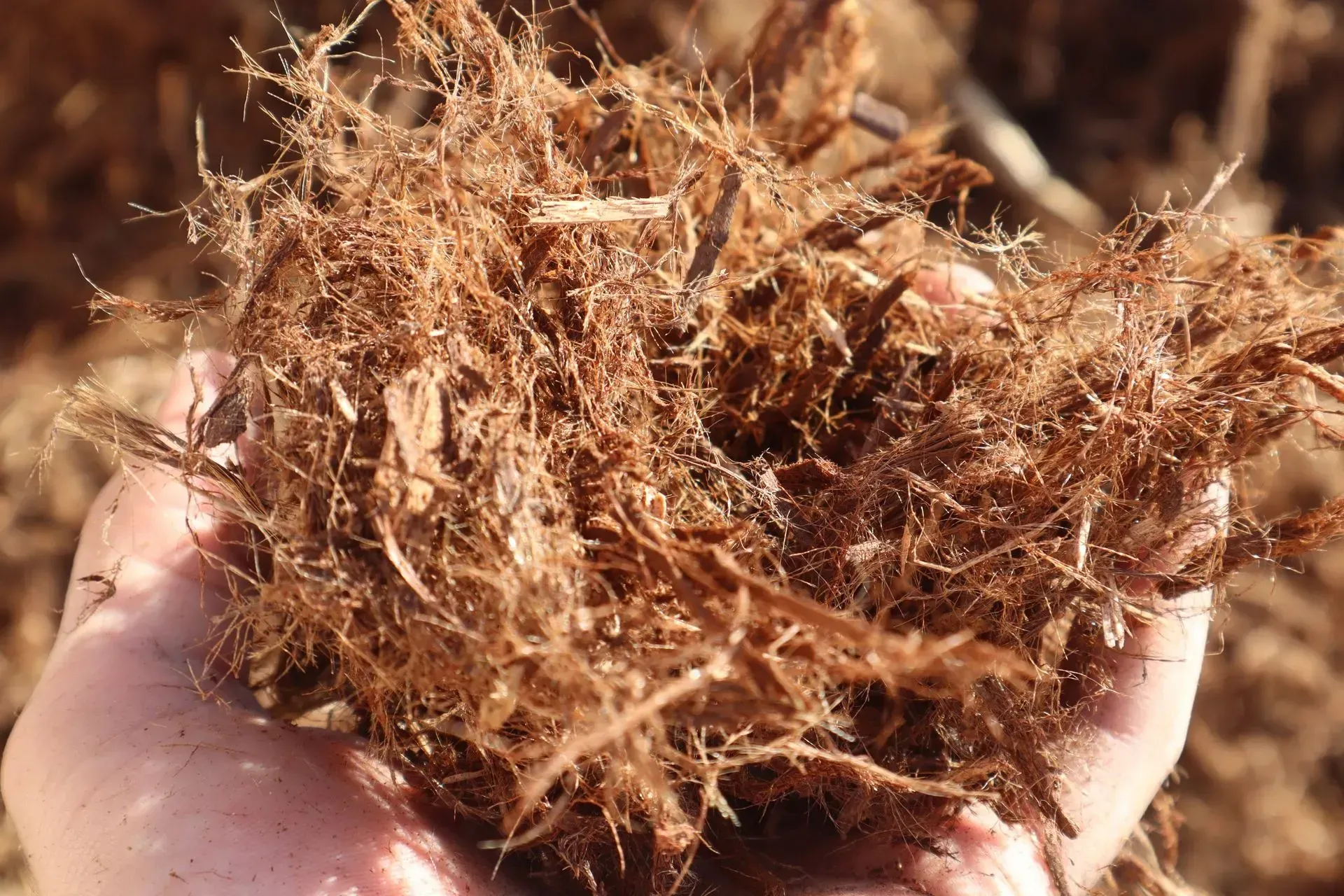 Shredded Redwood Mulch (Gorilla Hair)