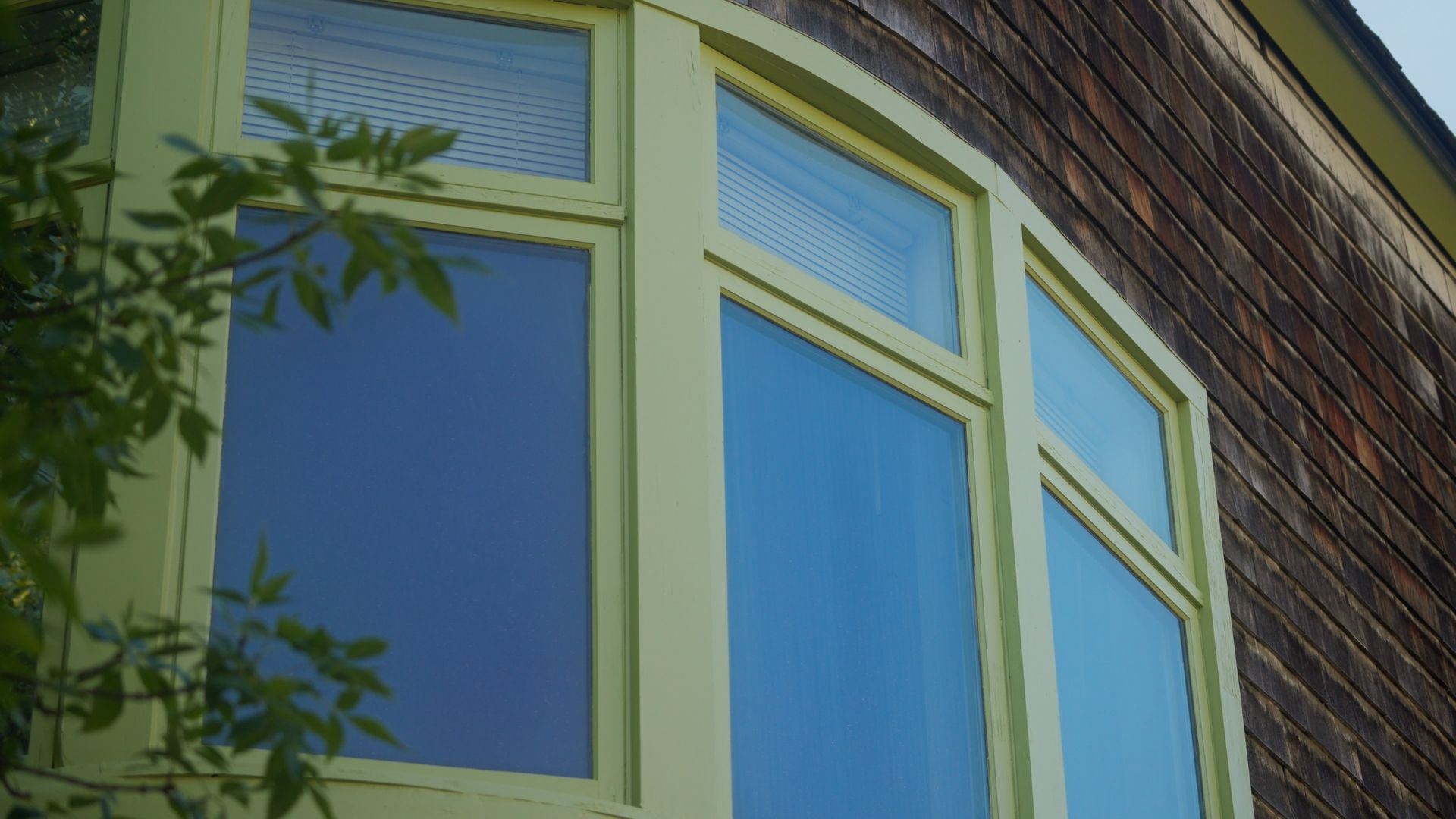 Bay window with green trim on a brown shingled building. Tree leaves are visible in the foreground.