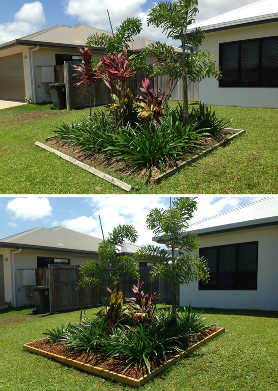 A Landscaped Garden Bed With Green Plants and a Tree in Front of Two Houses — Mow & Mulch Lawn & Garden Maintenance In White Rock, QLD