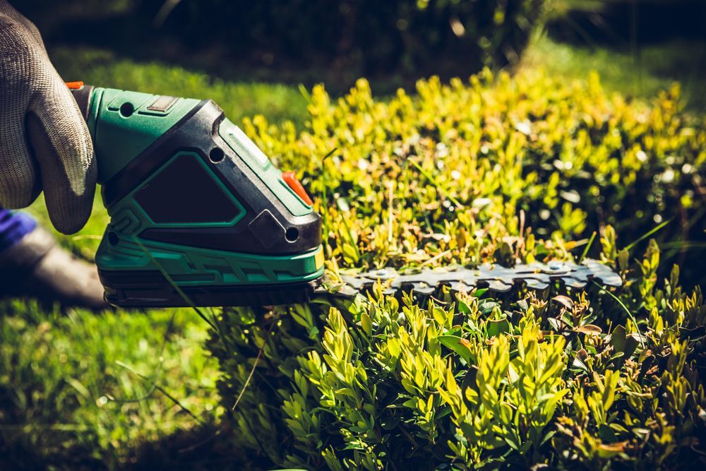 Green and Black Hedge Trimmer Cutting a Leaf — Mow & Mulch Lawn & Garden Maintenance In Gordonvale, QLD