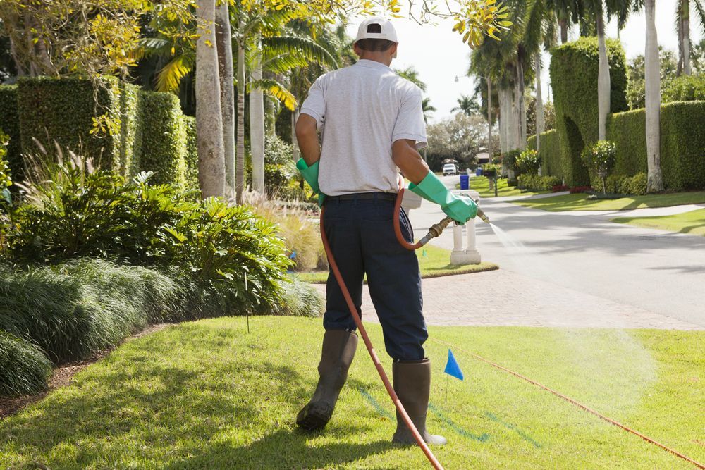 Person Spraying Herbicide on Grass With a Yellow Tank and Blue Sprayer — Mow & Mulch Lawn & Garden Maintenance in Redlynch, QLD