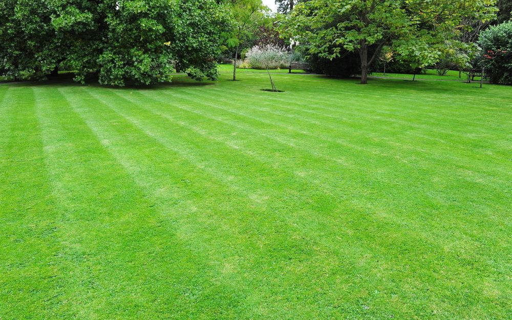 Lush Green Lawn With Striped Mowing Pattern — Mow & Mulch Lawn & Garden Maintenance in Smithfield, QLD