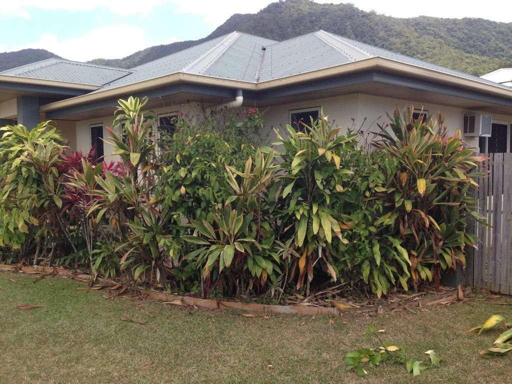 House With Tropical Landscaping, Green Lawn, Mountain Backdrop — Mow & Mulch Lawn & Garden Maintenance In White Rock, QLD