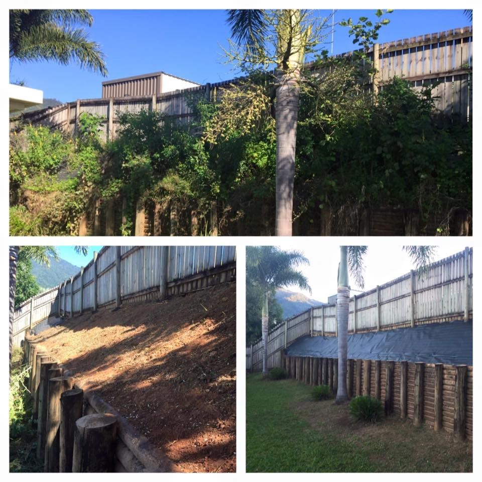 A Garden That Has Been Cleaned Up — Mow & Mulch Lawn & Garden Maintenance In White Rock, QLD