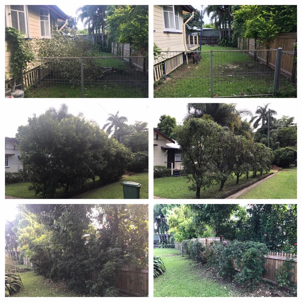Pictures of Different Gardens That Were Tidied Up — Mow & Mulch Lawn & Garden Maintenance In White Rock, QLD