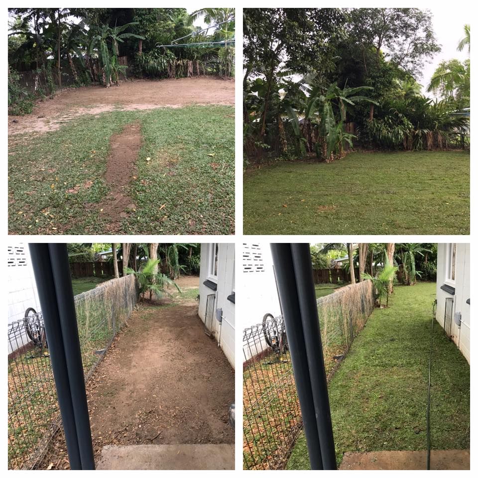 A Mowed and Cleaned Backyard — Mow & Mulch Lawn & Garden Maintenance In White Rock, QLD