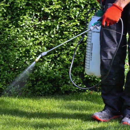 A Man Spraying Herbicide — Mow & Mulch Lawn & Garden Maintenance In White Rock, QLD