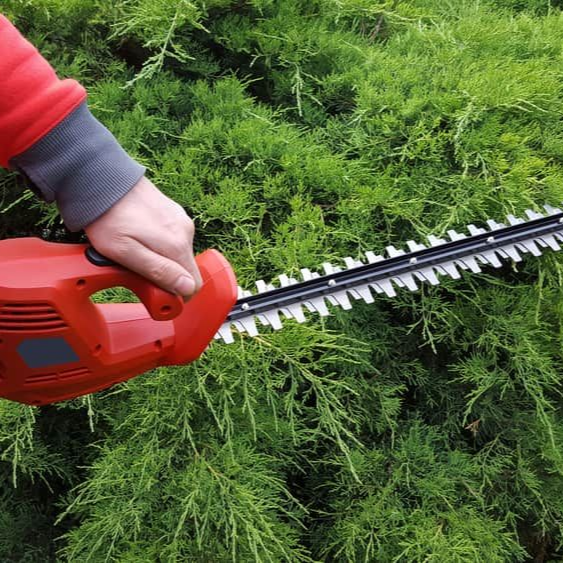 A Man Trimming Bushes — Mow & Mulch Lawn & Garden Maintenance In White Rock, QLD