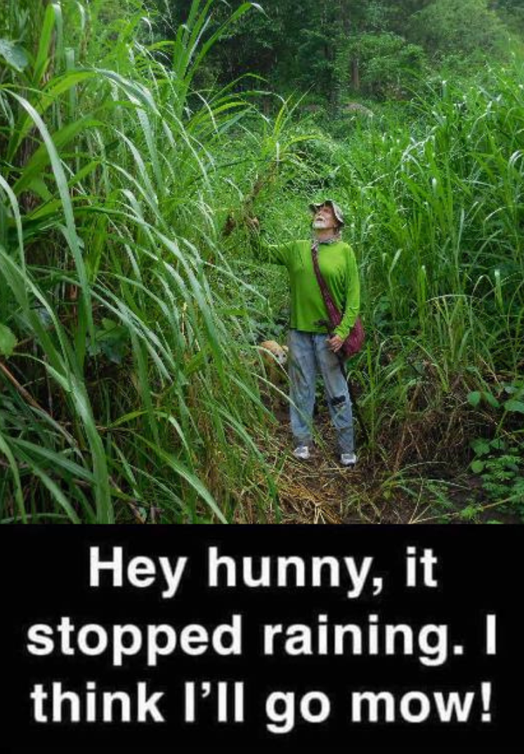 A Man In A Green Shirt In A Tall Grass Field — Mow & Mulch Lawn & Garden Maintenance In White Rock, QLD