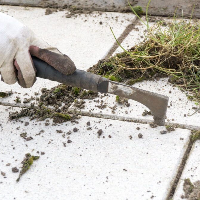 A Man Removing Weed — Mow & Mulch Lawn & Garden Maintenance In White Rock, QLD