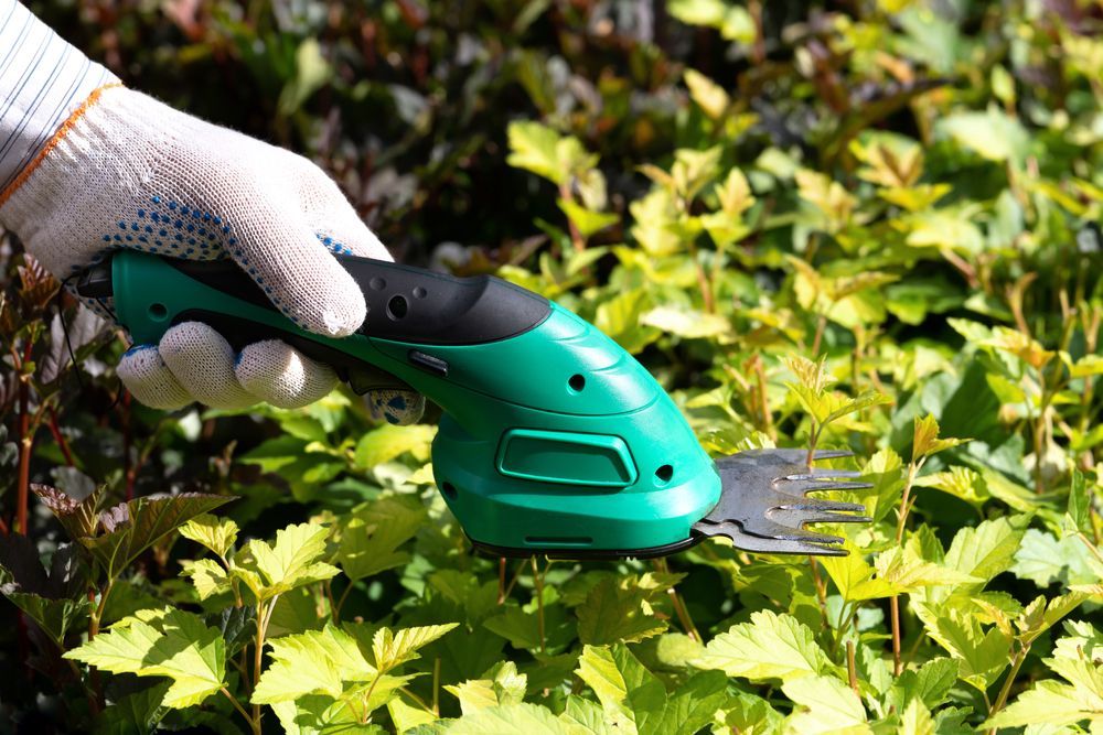 Pruning Shears Cutting a Brown Branch in a Blurred Green Outdoor Setting — Mow & Mulch Lawn & Garden Maintenance in Edge Hill, QLD