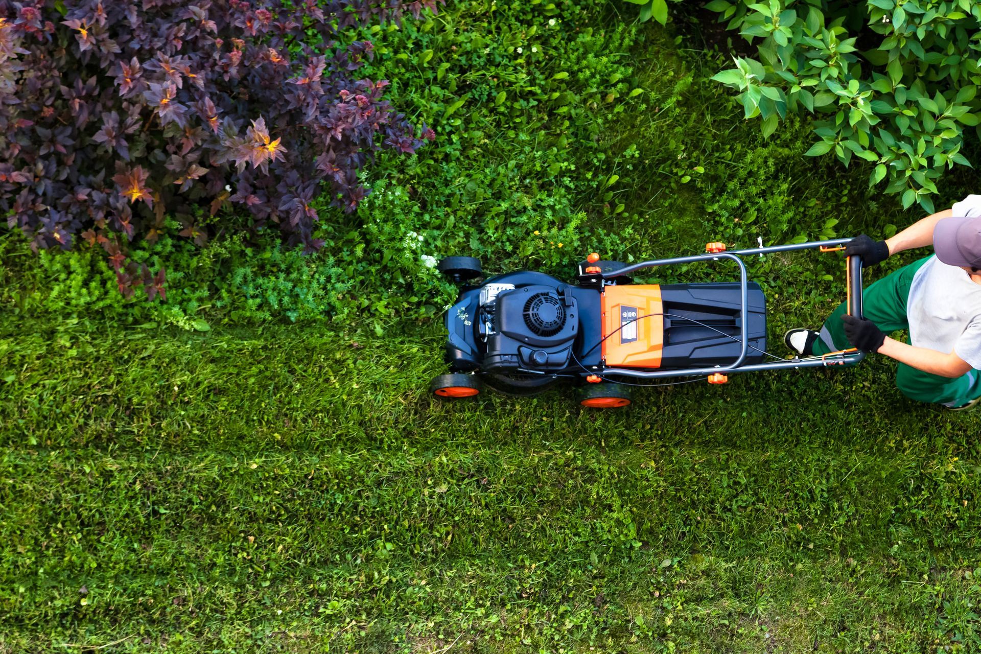 Orange Lawnmower Cutting Tall Green Grass — Mow & Mulch Lawn & Garden Maintenance in Edmonton, QLD
