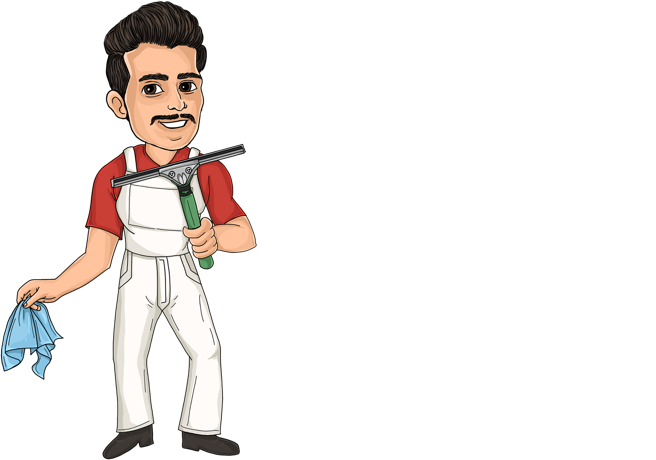 Squeegee Luigi's Washing Services