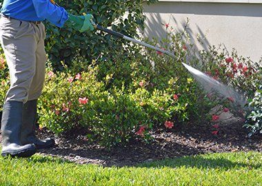 Lawn Services - Landscaping in Newton, MA