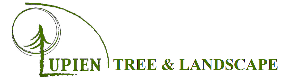 Lupien Tree & Landscape Logo