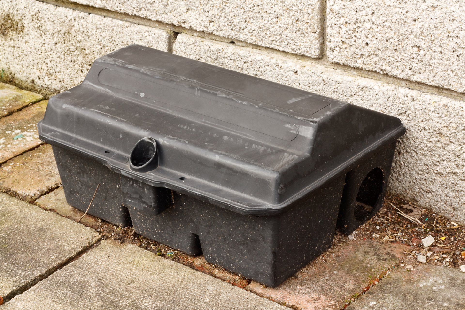 Rodent Trapping — Enclosed Rat Trap in Tampa, FL