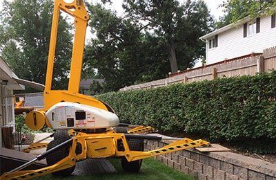 Tree Stump Removal — Tree Experts in Hampden, MA