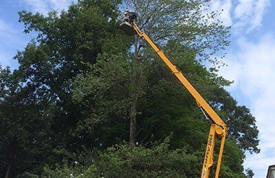 Pruning tree using lift-arm — Tree Experts in Hampden, MA