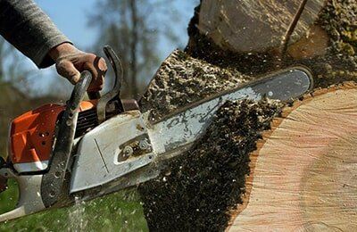 Cutting a fallen tree — Tree Experts in Hampden, MA