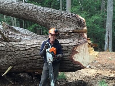 Complete tree care — Tree Experts in Hampden, MA