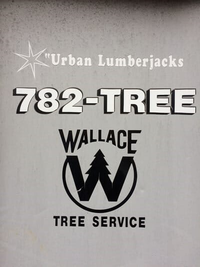 Tree service — Tree Experts in Hampden, MA