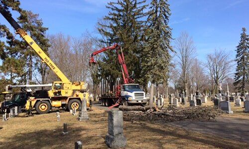 Trucks with lifting arm crane — Tree Experts in Hampden, MA