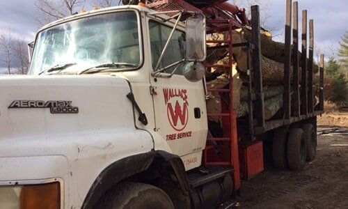 Tree truck — Tree Experts in Hampden, MA