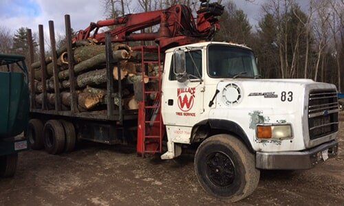 Deforestation truck — Tree Experts in Hampden, MA