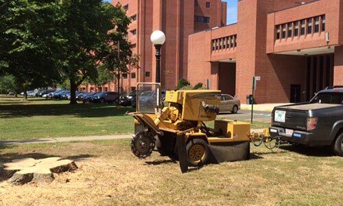 Stump removal — Tree Experts in Hampden, MA
