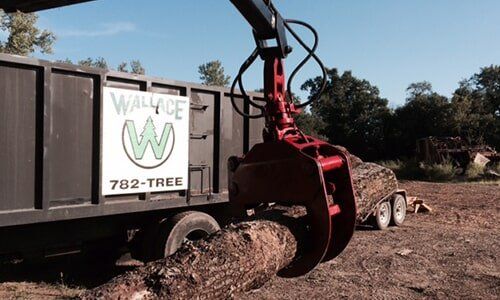 Log loader truck — Tree Experts in Hampden, MA