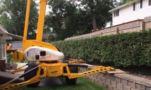 Tree stump — Tree Experts in Hampden, MA