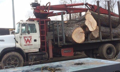 Logs on truck — Tree Experts in Hampden, MA