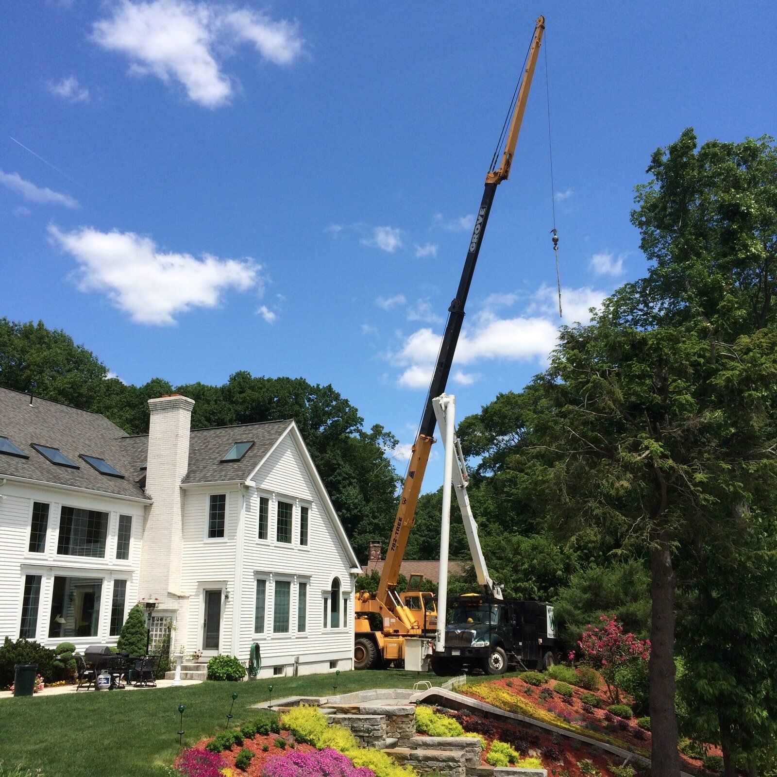 Professional tree removal — Tree Experts in Hampden, MA
