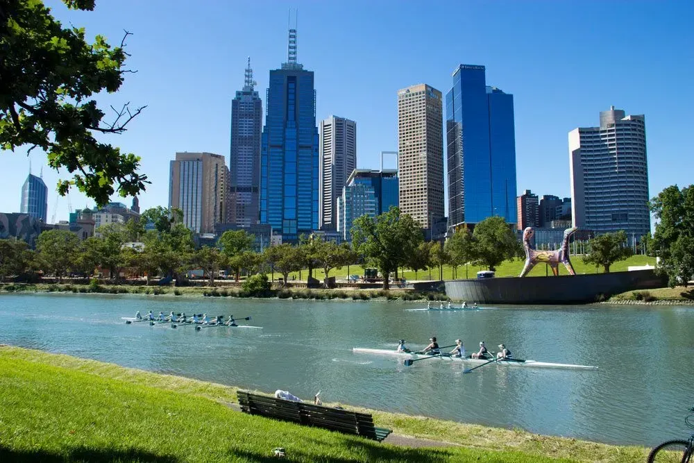 A Group Of People Are Rowing On A Lake In Front Of A City Skyline — Spring Crest Blinds, Awnings & Security Doors in Melbourne, VIC
