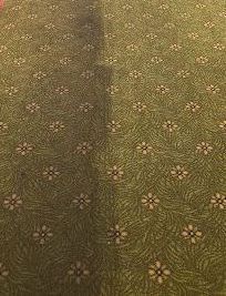 A close up of a green carpet with white flowers on it.