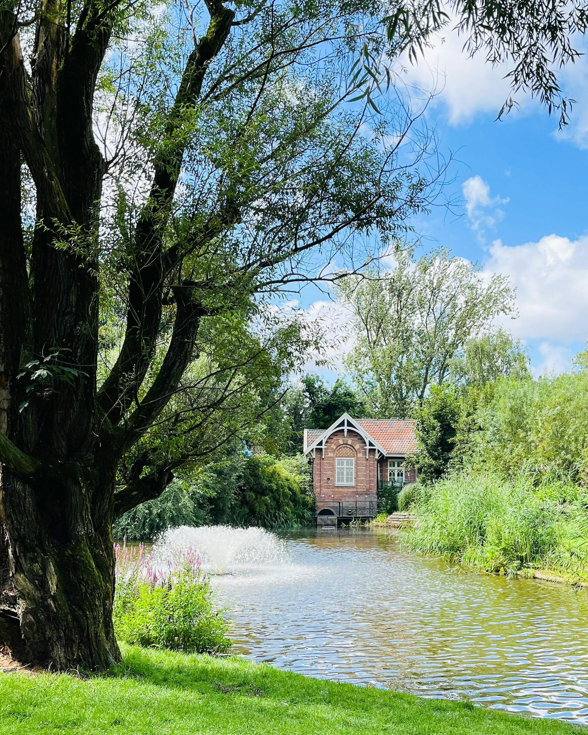 stadspark, Canada, regels, verbieden, verboden, beperkingen, drinken, toboggan, roetsjen, toegestaan.