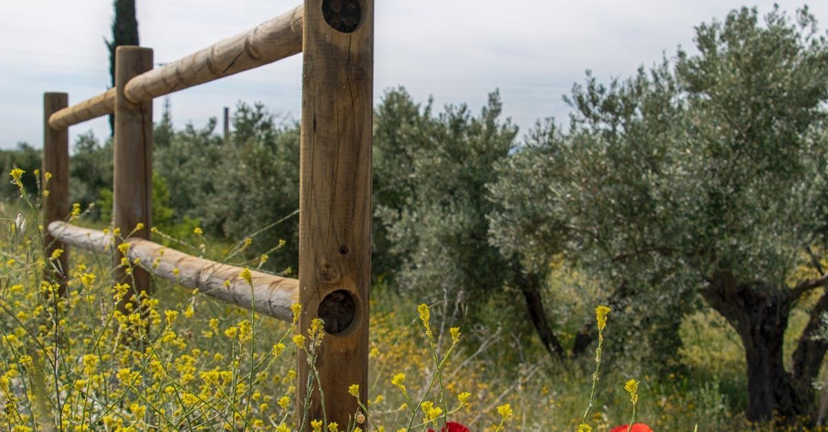 Schadevergoeding, indianen, natives, aboriginals, treaty, Canada.