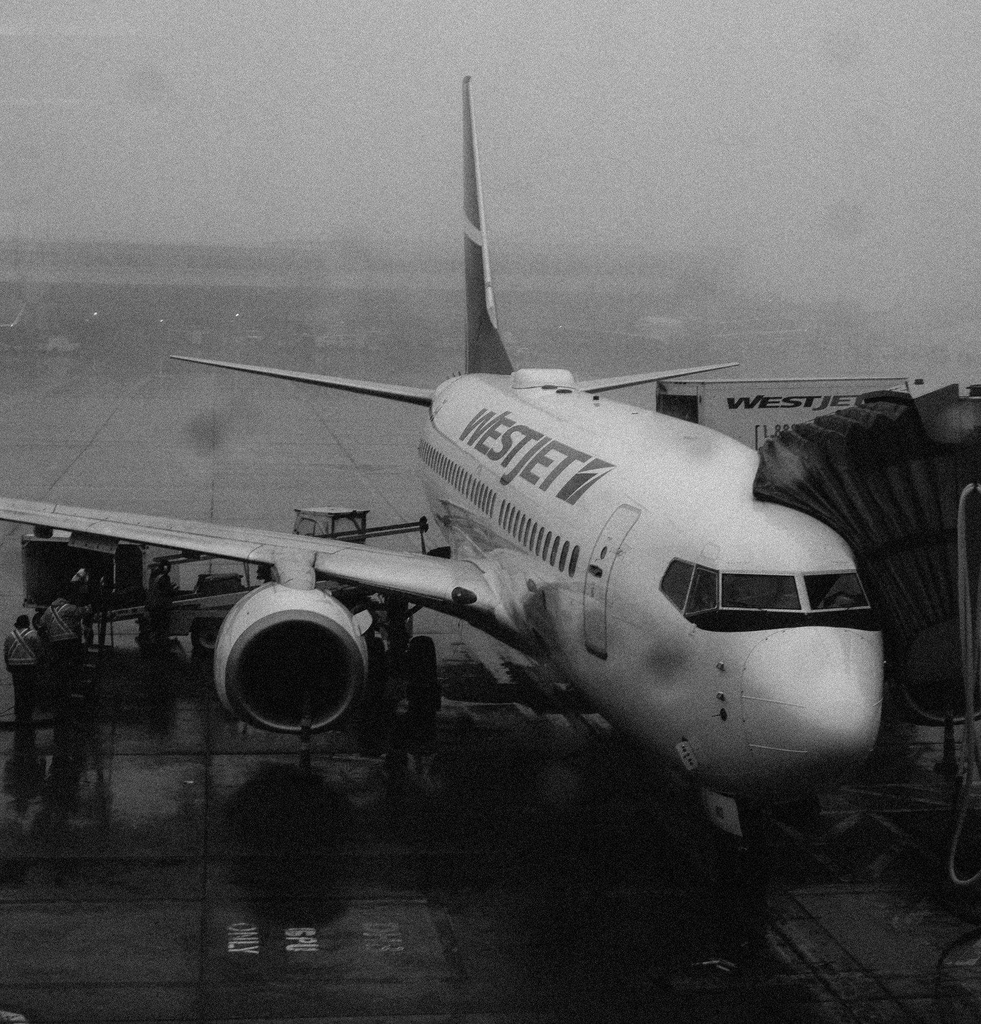 Airline, westjet, luchtvaartmaatschappij, toekomst, Canada, Air Canada, West-jet.