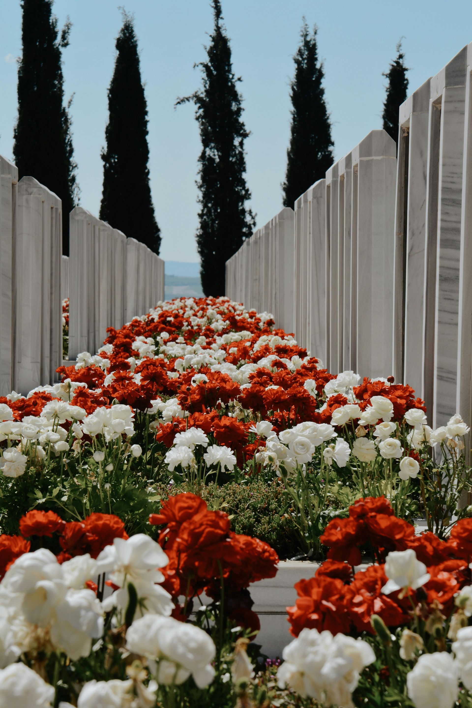 Begraafplaats, indianen, armen, Halifax, Canada, houding, bepalen.