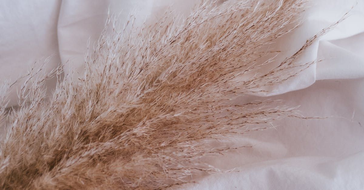 Asbest, asbestos, ongezond, Canada.