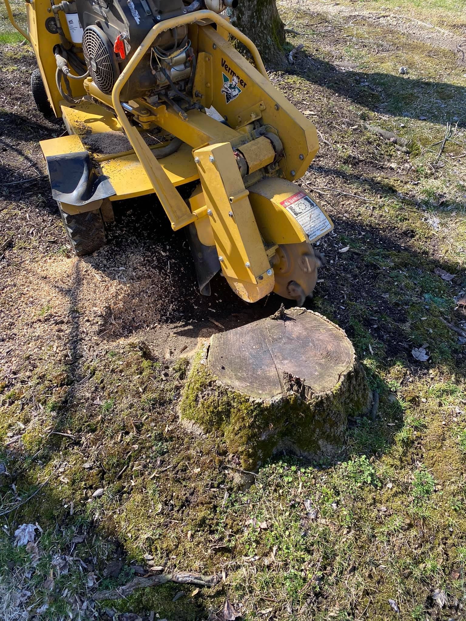 A yellow stump grinder is cutting a tree stump in the grass.