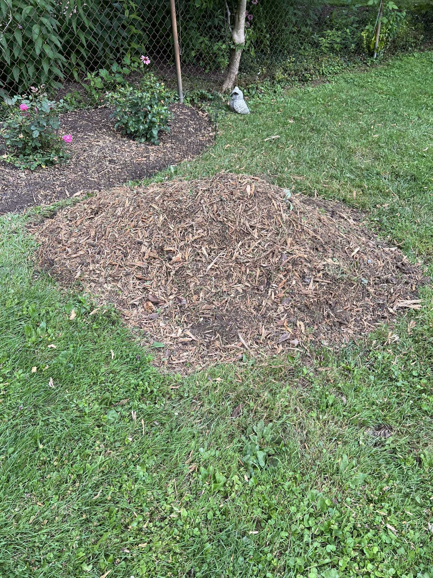 A pile of mulch is sitting on top of a lush green lawn.
