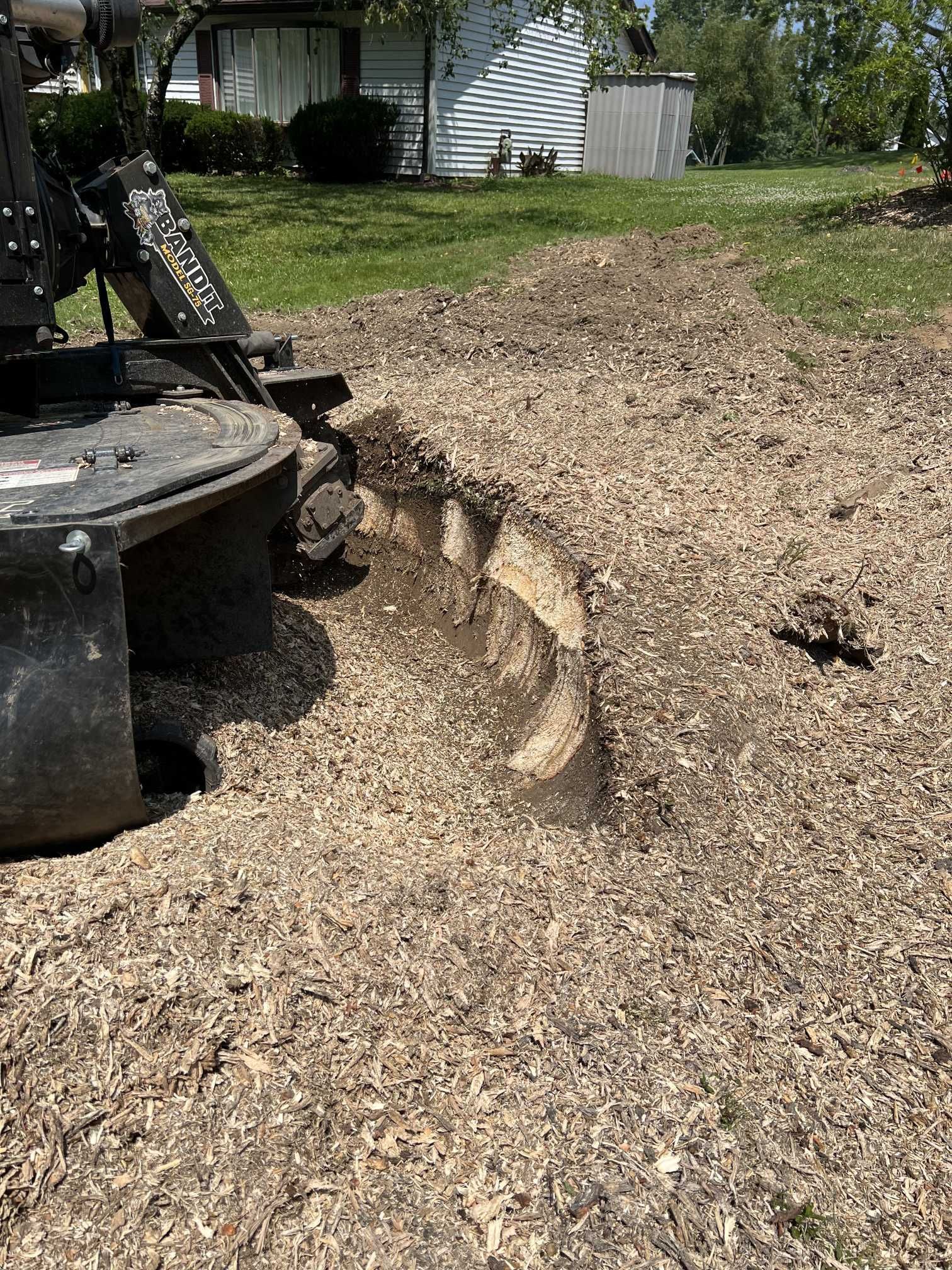 A stump grinder is cutting a tree stump in a yard.