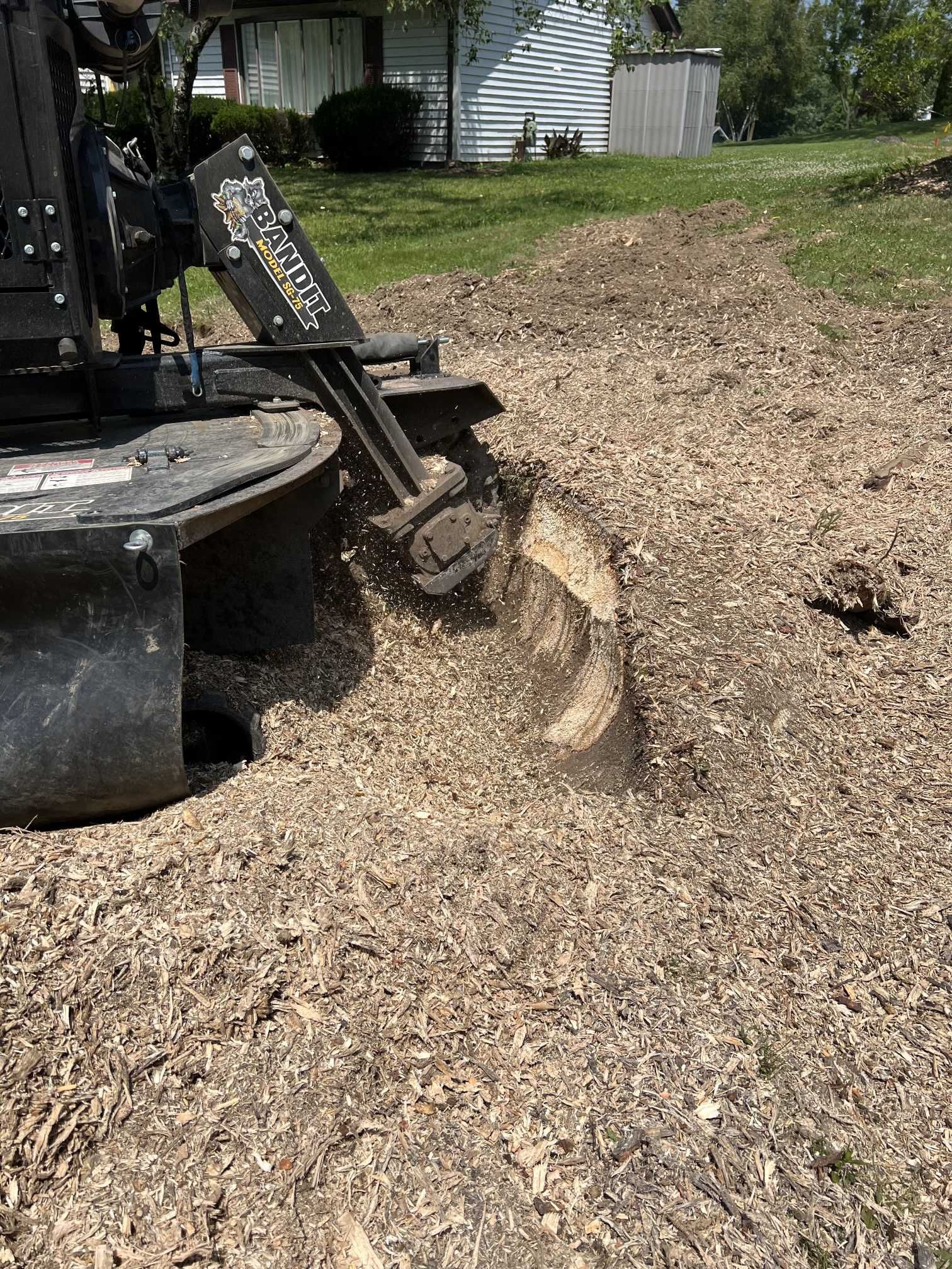 A stump grinder is cutting a tree stump in a yard.